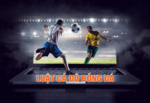 HƯỚNG DẪN CÁ ĐỘ BÓNG ĐÁ VỚI LUẬT CHẤP CƠ BẢN