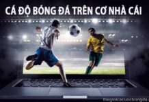KINH NGHIỆM CÁ ĐỘ BÓNG ĐÁ ONLINE