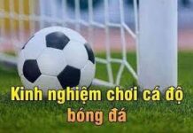 KINH NGHIỆM CÁ ĐỘ BÓNG ĐÁ KHÔNG THỂ BỎ QUA