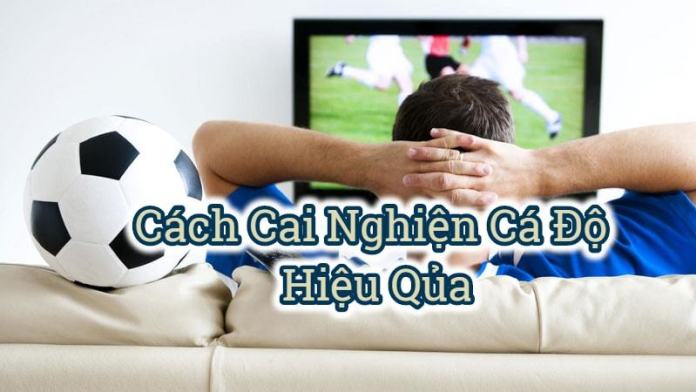 Nghiện cá độ bóng đá. 1