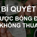 KINH NGHIỆM SOI KÈO BÓNG ĐÁ CHO CAO THỦ CÁ CƯỢC