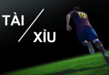 TÀI XỈU LÀ GÌ? CÁCH CÁ ĐỘ TÀI XỈU DỄ ĂN DÀNH CHO NGƯỜI MỚI