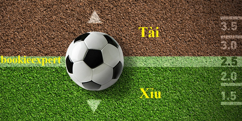 cách cá độ tài