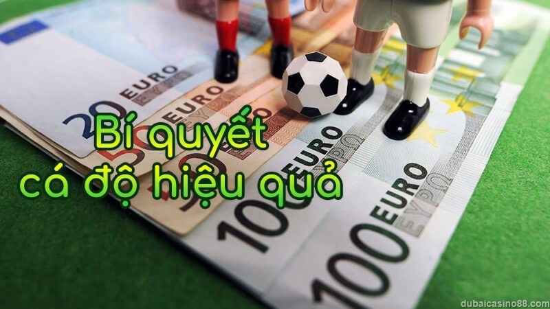 cách quản lý vốn khi cá độ bóng đá