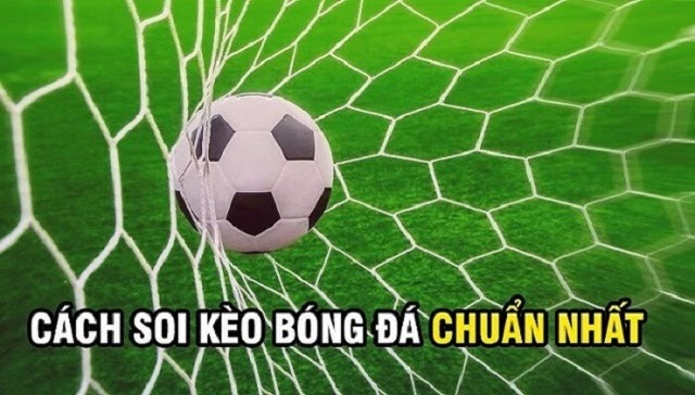cách soi kèo bóng đá cho người mới