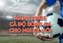 KINH NGHIỆM CHƠI CÁ ĐỘ BÓNG ĐÁ NÀO CHO NGƯỜI MỚI?