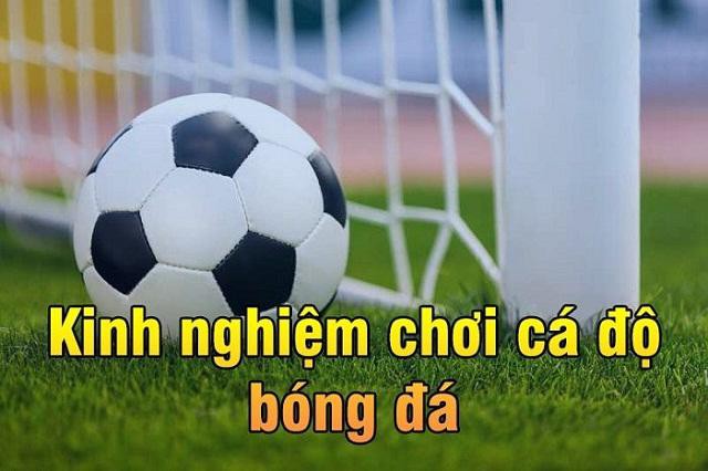 kinh nghiệm chơi cá độ bóng đá