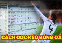 KÈO CÁ ĐỘ BÓNG ĐÁ LÀ GÌ? ĐỌC KÈO RA SAO?