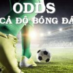 ODDS TRONG CÁ ĐỘ BÓNG ĐÁ LÀ GÌ? CÁCH PHÂN BIỆT ODD CHÂU ÂU, CHÂU Á