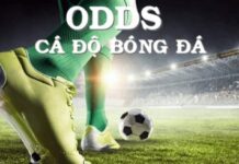 ODDS TRONG CÁ ĐỘ BÓNG ĐÁ LÀ GÌ? CÁCH PHÂN BIỆT ODD CHÂU ÂU, CHÂU Á