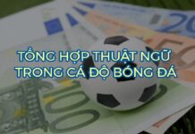 CÁC THUẬT NGỮ TIẾNG ANH TRONG CÁ ĐỘ BÓNG ĐÁ CHO NGƯỜI MỚI BẮT ĐẦU