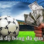 TÌM HIỂU CÁ ĐỘ BÓNG ĐÁ QUA MẠNG VỚI W88