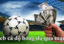 TÌM HIỂU CÁ ĐỘ BÓNG ĐÁ QUA MẠNG VỚI W88