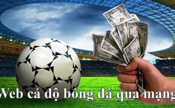 TÌM HIỂU CÁ ĐỘ BÓNG ĐÁ QUA MẠNG VỚI W88