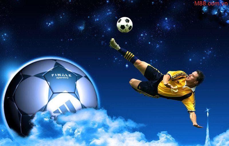 Cá độ bóng đá chuyên nghiệp