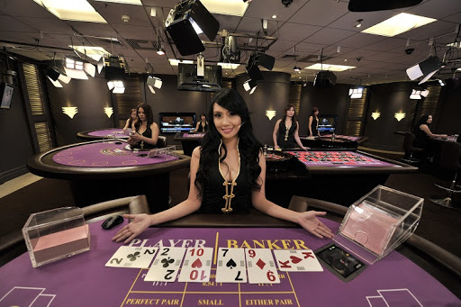 người chia bài casino chuyên nghiệp
