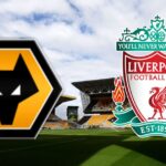 Soi kèo Wolves vs Liverpool , vào lúc 3h00 ngày 16/3 – Ngoại hạng Anh