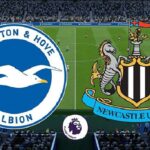 Soi kèo Brighton vs Newcastle, 3h00 ngày 21/3/2021 – Ngoại hạng Anh