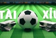 Cá độ tài xỉu là gì? Kinh nghiệm đặt cược chắc thắng Các loại kèo tài xỉu cơ bản trong túc cầu rất đa dạng