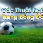 Các thuật ngữ cá độ bóng đá mà anh em cược thủ cần biết Các thuật ngữ cá độ bóng đá kèo châu Á