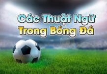 Các thuật ngữ cá độ bóng đá mà anh em cược thủ cần biết Các thuật ngữ cá độ bóng đá kèo châu Á
