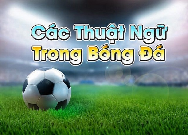 Các thuật ngữ cá độ bóng đá mà anh em cược thủ cần biết 1 Các thuật ngữ cá độ bóng đá kèo châu Á