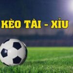 Cách đọc kèo Tài Xỉu thắng đậm trong cá độ bóng đá Cách đọc kèo Tài Xỉu 1 trái rưỡi