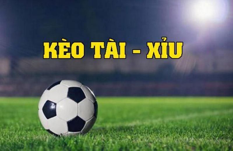 Cách đọc kèo Tài Xỉu thắng đậm trong cá độ bóng đá 2 Cách đọc kèo Tài Xỉu 1 trái rưỡi