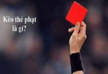 Kèo thẻ phạt là gì? Cách đọc kèo thẻ phạt chuẩn xác nhất Kèo thẻ phạt là gì được rất nhiều bạn quan tâm, tìm hiểu
