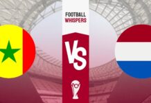 World Cup 2023 – Soi kèo Senegal vs Hà Lan – 23h00 ngày 21/11 Senegal vs Hà Lan - 23h00 ngày 21/11