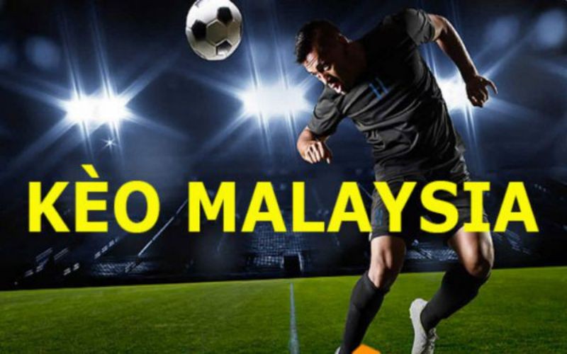 Tỷ lệ kèo Malaysia là gì? Làm sao để đặt kèo một cách chính xác? 1 Tỷ lệ kèo Malaysia là gì, tỷ lệ thắng hoặc thua tại mỗi cửa
