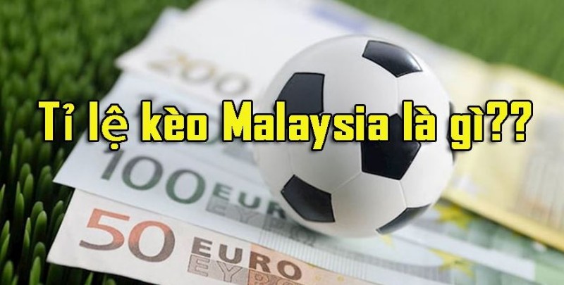Tỷ lệ kèo Malaysia là gì? Làm sao để đặt kèo một cách chính xác? 2 Anh em chỉ nên bắt kèo từ 1 hoặc 2 trận